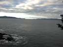 ./images/koeye/fitz-hugh/20181208/fitz-hugh20181208_093502.jpg