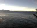 ./images/koeye/fitz-hugh/20181208/fitz-hugh20181208_122002.jpg