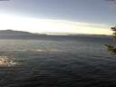 ./images/koeye/fitz-hugh/20181208/fitz-hugh20181208_122502.jpg