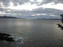./images/koeye/fitz-hugh/20181208/fitz-hugh20181208_163501.jpg