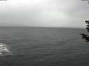 ./images/koeye/fitz-hugh/20181209/fitz-hugh20181209_131502.jpg