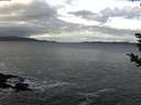 ./images/koeye/fitz-hugh/20181210/fitz-hugh20181210_105501.jpg