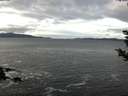 ./images/koeye/fitz-hugh/20181210/fitz-hugh20181210_111501.jpg