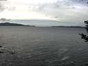 ./images/koeye/fitz-hugh/20181210/fitz-hugh20181210_122501.jpg