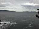 ./images/koeye/fitz-hugh/20181210/fitz-hugh20181210_163501.jpg