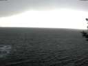 ./images/koeye/fitz-hugh/20181211/fitz-hugh20181211_150501.jpg