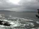 ./images/koeye/fitz-hugh/20181219/fitz-hugh20181219_135001.jpg