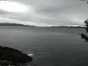 ./images/koeye/fitz-hugh/20181221/fitz-hugh20181221_170001.jpg