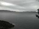 ./images/koeye/fitz-hugh/20181221/fitz-hugh20181221_170501.jpg