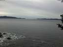 ./images/koeye/fitz-hugh/20181225/fitz-hugh20181225_164001.jpg