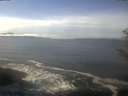 ./images/koeye/fitz-hugh/20181230/fitz-hugh20181230_125001.jpg
