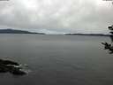 ./images/koeye/fitz-hugh/20190108/fitz-hugh20190108_100501.jpg