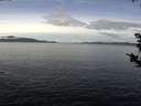 ./images/koeye/fitz-hugh/20190121/fitz-hugh20190121_111001.jpg