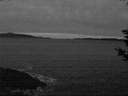 ./images/koeye/fitz-hugh/20190121/fitz-hugh20190121_174002.jpg