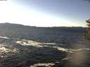 ./images/koeye/fitz-hugh/20190205/fitz-hugh20190205_135501.jpg