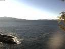./images/koeye/fitz-hugh/20190212/fitz-hugh20190212_135501.jpg