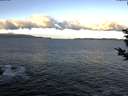 ./images/koeye/fitz-hugh/20190216/fitz-hugh20190216_084501.jpg