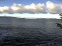 ./images/koeye/fitz-hugh/20190216/fitz-hugh20190216_095502.jpg