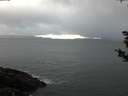 ./images/koeye/fitz-hugh/20190222/fitz-hugh20190222_084001.jpg
