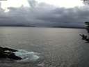./images/koeye/fitz-hugh/20190222/fitz-hugh20190222_182002.jpg
