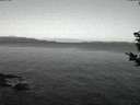 ./images/koeye/fitz-hugh/20190224/fitz-hugh20190224_064502.jpg