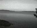 ./images/koeye/fitz-hugh/20190306/fitz-hugh20190306_062502.jpg