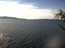 ./images/koeye/fitz-hugh/20190306/fitz-hugh20190306_140001.jpg