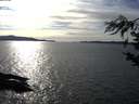 ./images/koeye/fitz-hugh/20190306/fitz-hugh20190306_160002.jpg