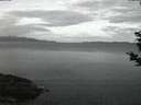 ./images/koeye/fitz-hugh/20190307/fitz-hugh20190307_062501.jpg