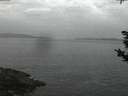 ./images/koeye/fitz-hugh/20190516/fitz-hugh20190516_045501.jpg