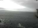 ./images/koeye/fitz-hugh/20190516/fitz-hugh20190516_114502.jpg