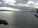 ./images/koeye/fitz-hugh/20190517/fitz-hugh20190517_154501.jpg