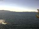 ./images/koeye/fitz-hugh/20190519/fitz-hugh20190519_140501.jpg