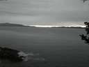 ./images/koeye/fitz-hugh/20190520/fitz-hugh20190520_220502.jpg
