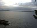 ./images/koeye/fitz-hugh/20190602/fitz-hugh20190602_211001.jpg
