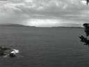 ./images/koeye/fitz-hugh/20190602/fitz-hugh20190602_222502.jpg