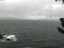 ./images/koeye/fitz-hugh/20190603/fitz-hugh20190603_132501.jpg