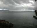 ./images/koeye/fitz-hugh/20190604/fitz-hugh20190604_083501.jpg