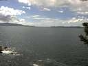 ./images/koeye/fitz-hugh/20190604/fitz-hugh20190604_145502.jpg