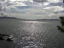 ./images/koeye/fitz-hugh/20190604/fitz-hugh20190604_164001.jpg