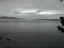 ./images/koeye/fitz-hugh/20190605/fitz-hugh20190605_042502.jpg