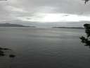 ./images/koeye/fitz-hugh/20190605/fitz-hugh20190605_043501.jpg