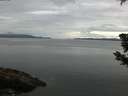 ./images/koeye/fitz-hugh/20190605/fitz-hugh20190605_070501.jpg