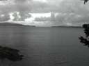 ./images/koeye/fitz-hugh/20190605/fitz-hugh20190605_223501.jpg
