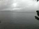 ./images/koeye/fitz-hugh/20190606/fitz-hugh20190606_043501.jpg