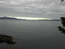 ./images/koeye/fitz-hugh/20190608/fitz-hugh20190608_080002.jpg