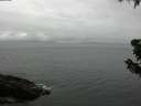 ./images/koeye/fitz-hugh/20190610/fitz-hugh20190610_114002.jpg