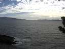 ./images/koeye/fitz-hugh/20190612/fitz-hugh20190612_175502.jpg