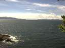 ./images/koeye/fitz-hugh/20190614/fitz-hugh20190614_140001.jpg
