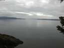 ./images/koeye/fitz-hugh/20190616/fitz-hugh20190616_053502.jpg